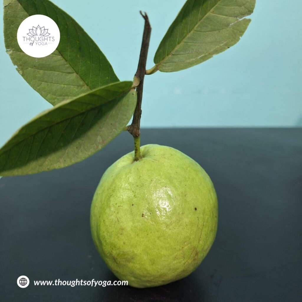 Fresh guava fruit with green leaves.